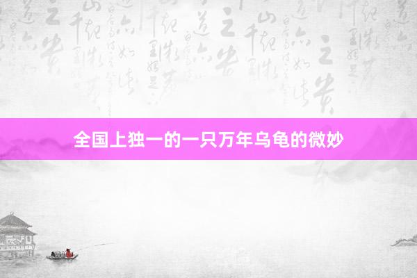 全国上独一的一只万年乌龟的微妙