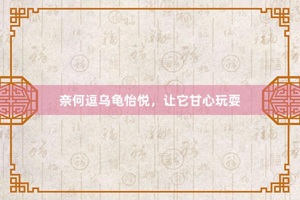 奈何逗乌龟怡悦，让它甘心玩耍
