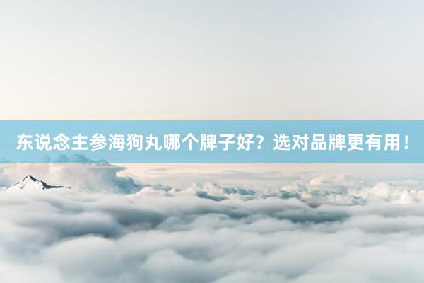 东说念主参海狗丸哪个牌子好?选对品牌更有用!